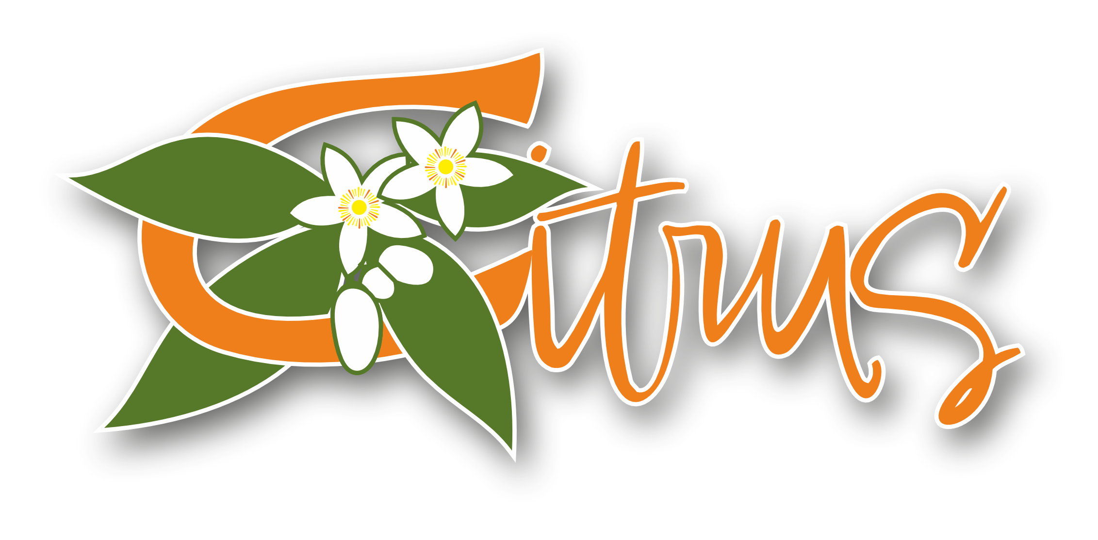 logo3